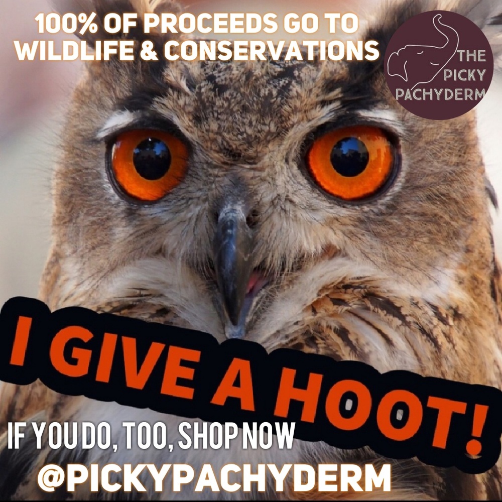 |🦉 A Truly 'Worth WILD CauseT'🦉 |